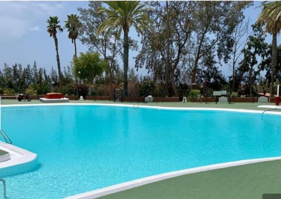 Piscina Club Apartment Pasito Blanco