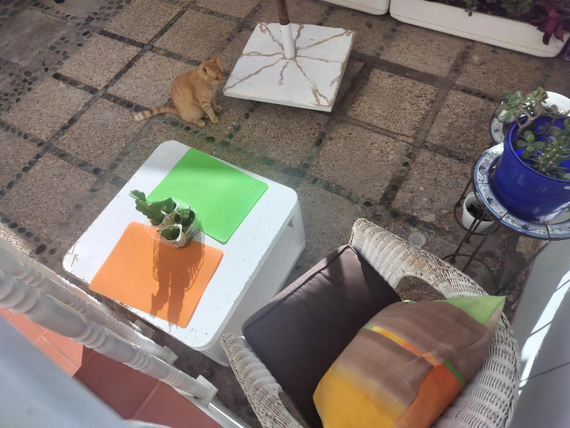 Apartament Piscina Club